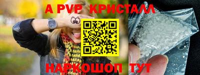 молекула духа Камышлов