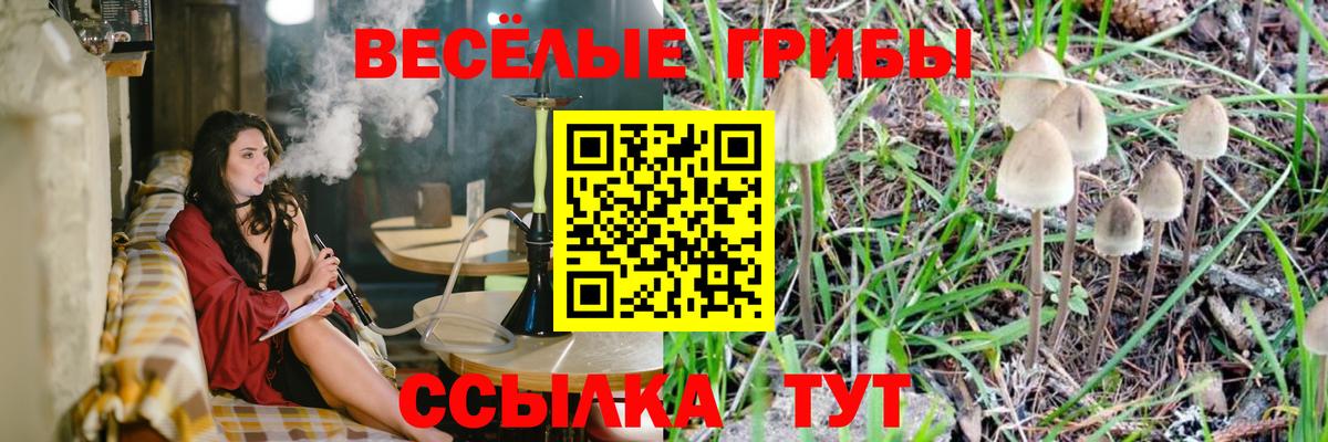Кыштым  Псилоцибиновые грибы Psilocybine cubensis  закладка  Вход с VPN 